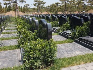 永安陵公墓购买流程（永安陵公墓的购买步骤是什么）